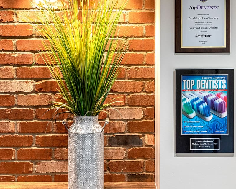 Top Dentist plaques and awards on a brick wall beside a potted grass arrangement