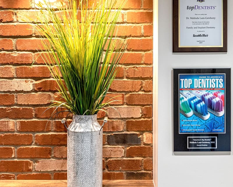 Top Dentist plaques and awards on a brick wall beside a potted grass arrangement